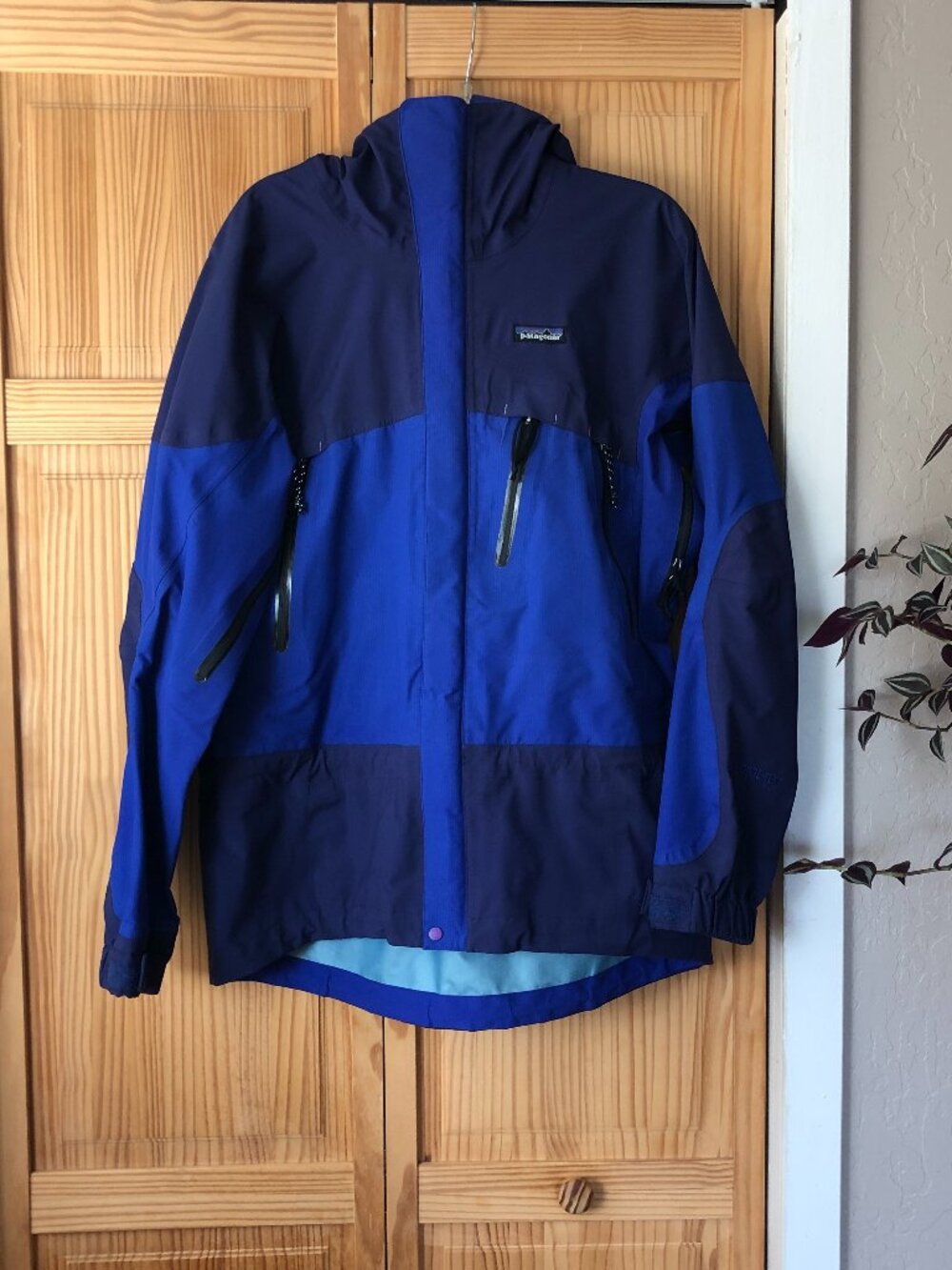 Patagonia Winter Jacket